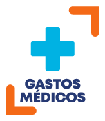 Gastos Médicos Mayores